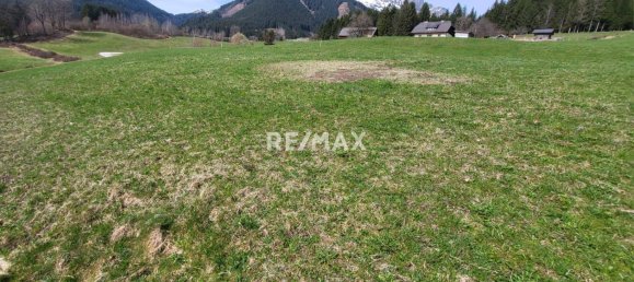 Terrain à Ardning, Austria No. 125062 2