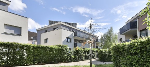 3 chambres Appartement à Riedisheim, France No. 57655 14