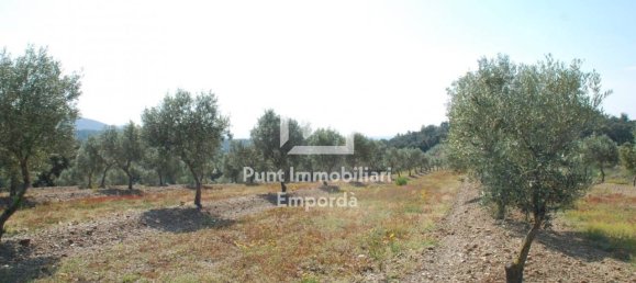 قطعة أرض في Garriguella, Spain 561متر مربع رقم 73536 13