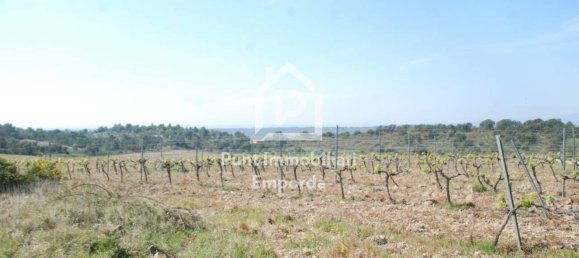 قطعة أرض في Garriguella, Spain 561متر مربع رقم 73536 14