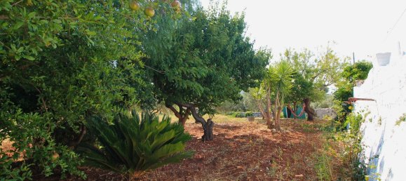 3 Schlafzimmer Haus in Ostuni, Italy, Nr. 381945 4
