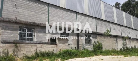 600m² Warehouse in Sever do Vouga, Portugal No. 60882 4