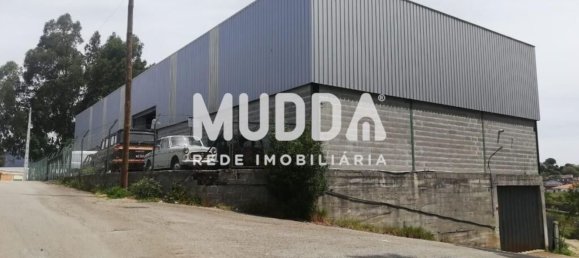 600m² Warehouse in Sever do Vouga, Portugal No. 60882 3