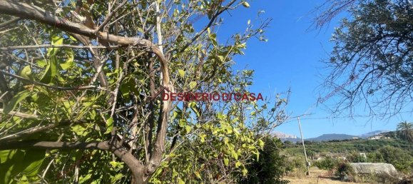 Земельный участок 5600м² в Ласкари, Италия № 69508 5