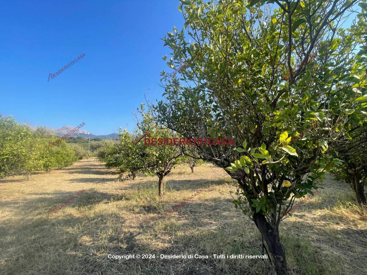 Земельный участок 5600м² в Ласкари, Италия № 69508