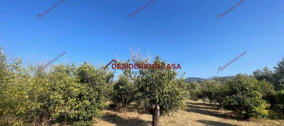 Земельный участок 5600м² в Ласкари, Италия № 69508 3