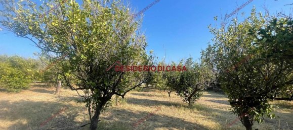 Земельный участок 5600м² в Ласкари, Италия № 69508 2