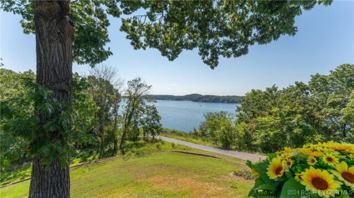 3 bedrooms House in Rocky Mount, USA No. 377497