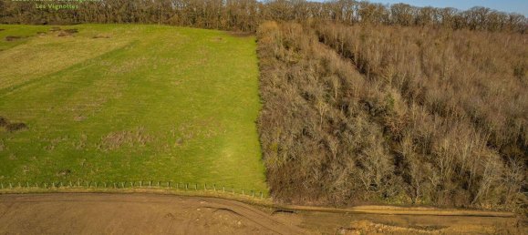 505m² Land in Thionville, France No. 75088 8