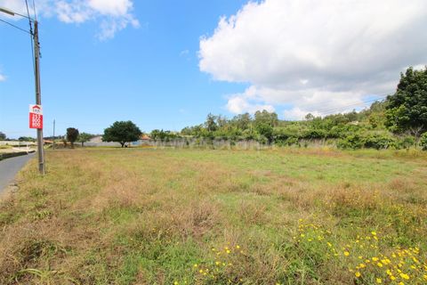 Terrain à Barcelos, Portugal No. 202277