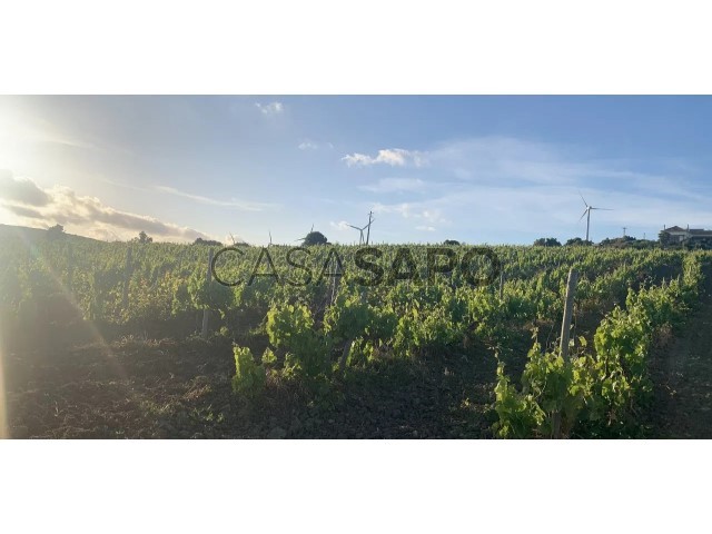 Grundstück in Alenquer, Portugal, Nr. 300039