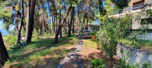 440m² Villa in Chalkidiki, Greece No. 3636 7