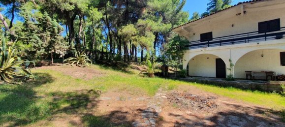 Вилла 440м² в Халкидики, Центральная Македония, Македония и Фракия, Греция № 3636 9