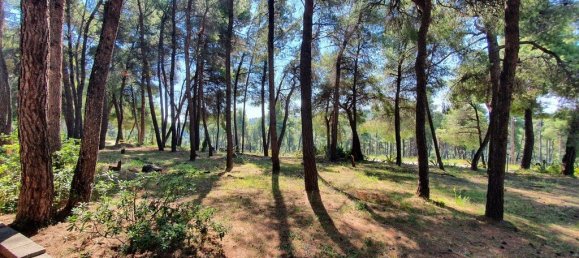 440m² Villa in Chalkidiki, Greece No. 3636 13