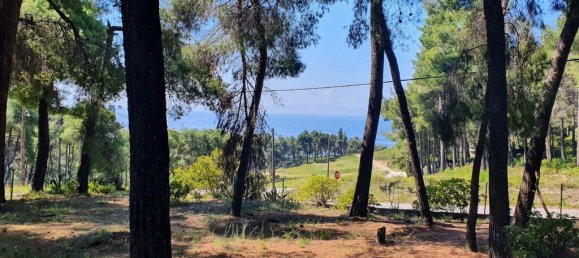 440m² Villa in Chalkidiki, Greece No. 3636 2