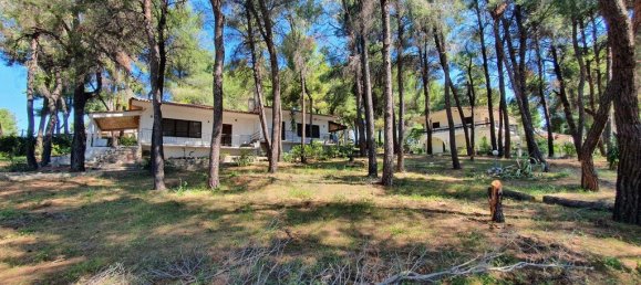 440m² Villa in Chalkidiki, Greece No. 3636 11