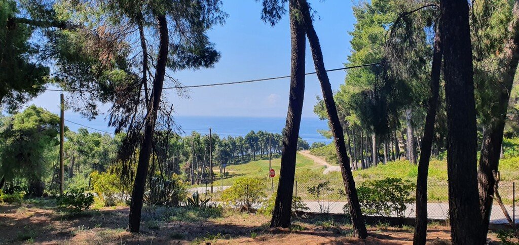 440m² Villa in Chalkidiki, Greece No. 3636