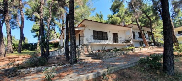 440m² Villa in Chalkidiki, Greece No. 3636 14