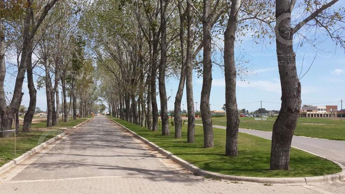  Land in Esteban Echeverria, Argentina No. 47532