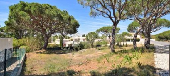 6 bedrooms Villa in Almancil, Portugal No. 31914 46