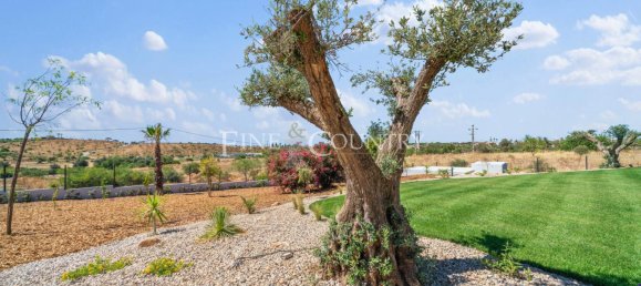 6 bedrooms Villa in Almancil, Portugal No. 31914 36