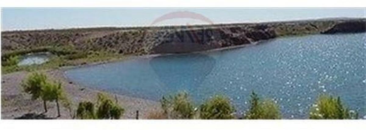  قطعة أرض في Neuquen, Argentina رقم 35209