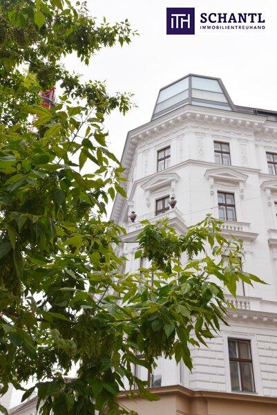 5-Zimmer Wohnung in Wien, Austria, Nr. 228049