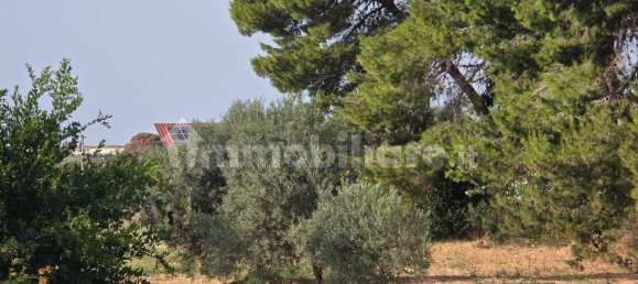 Terrain à Augusta, Italy 9000m² No. 348895 3