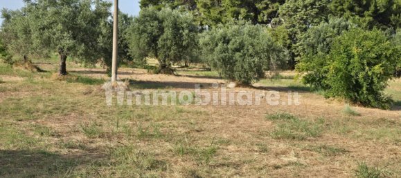 Terrain à Augusta, Italy 9000m² No. 348895 5