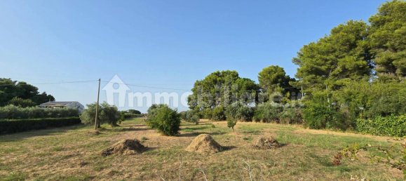 Terrain à Augusta, Italy 9000m² No. 348895 4