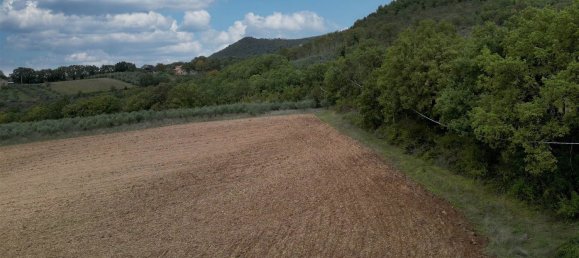 5 rooms House in Massa Martana, Italy No. 46107 13