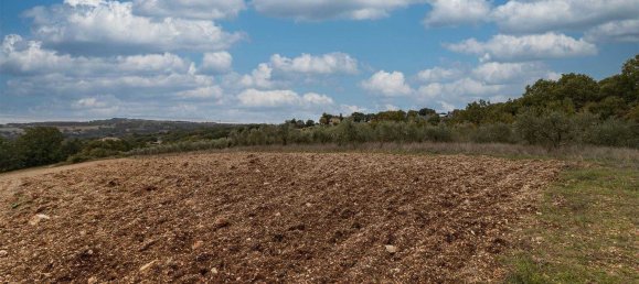 5 rooms House in Massa Martana, Italy No. 46107 8