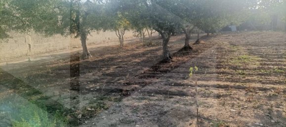 Villa de 3 divisões em Bari, Italy N.º 19184 34