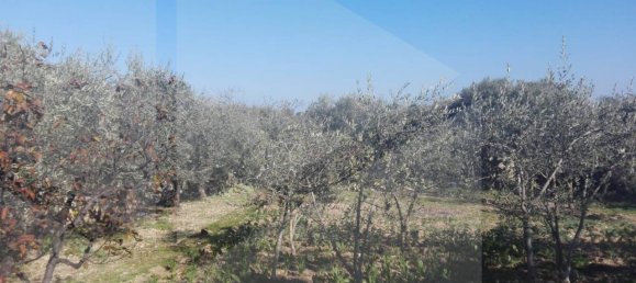 Villa de 3 divisões em Bari, Italy N.º 19184 28