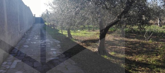 Villa de 3 divisões em Bari, Italy N.º 19184 6