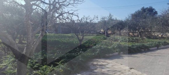 Villa de 3 divisões em Bari, Italy N.º 19184 4