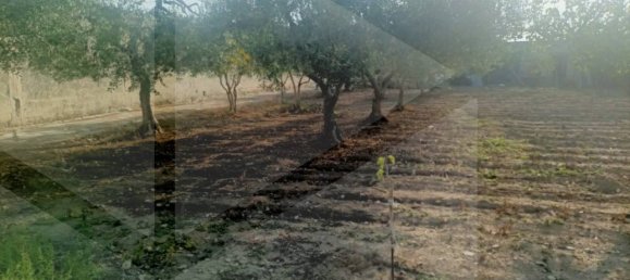 Villa de 3 divisões em Bari, Italy N.º 19184 37