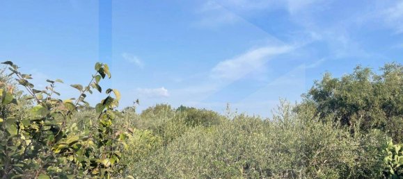 Villa de 3 divisões em Bari, Italy N.º 19184 32