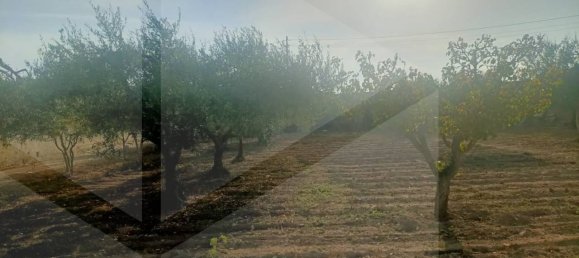 Villa de 3 divisões em Bari, Italy N.º 19184 36