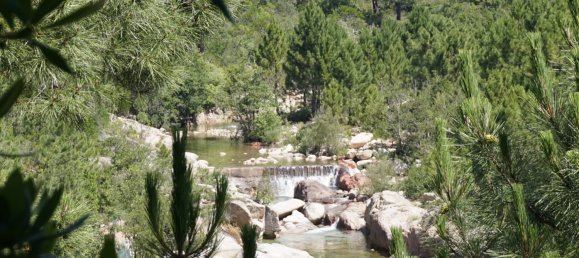 Apartamento de 1 dormitorio en Zonza, France No. 81646 6