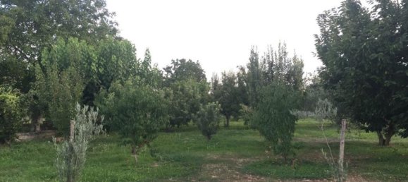 3 Schlafzimmer Villa in Central Macedonia, Greece, Nr. 1309 14