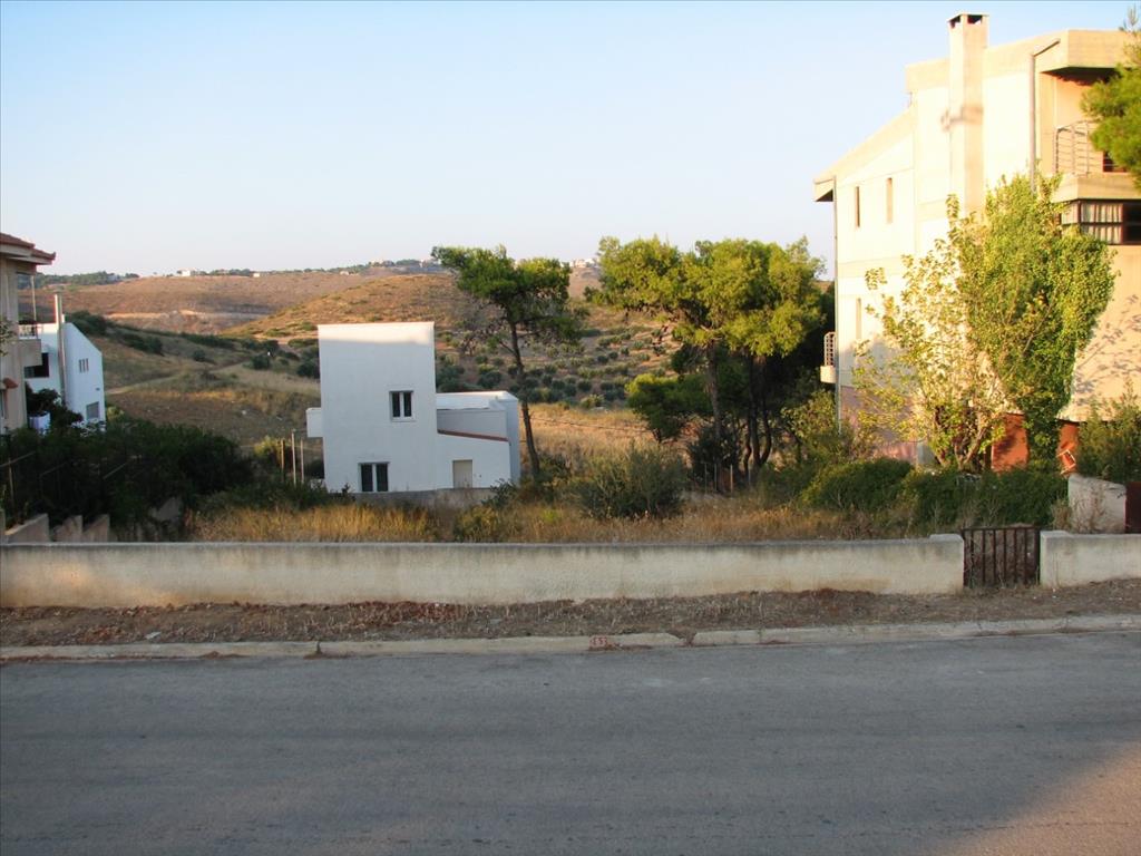 505m² Hotel in Rafina, Greece No. 5736