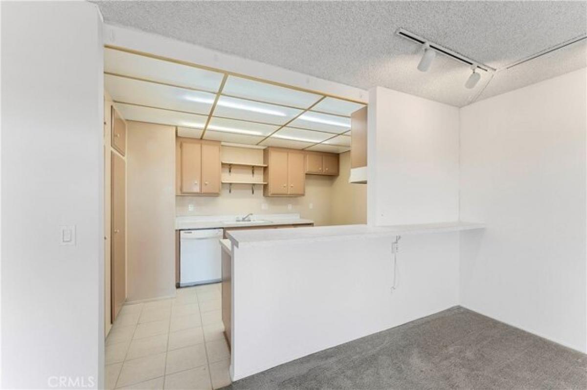 Studio in Huntington Beach, USA No. 408403