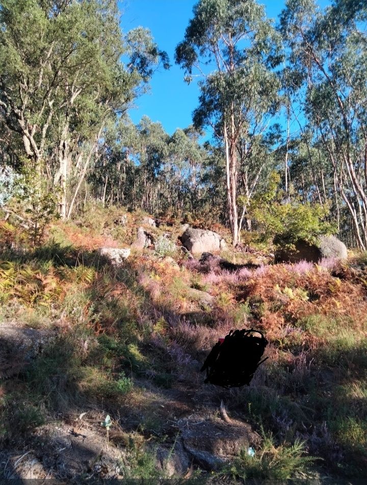 Grundstück in Celorico de Basto, Portugal, Nr. 337860