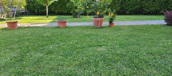 3 rooms Apartment in Montegrotto Terme, Italy No. 275605 14