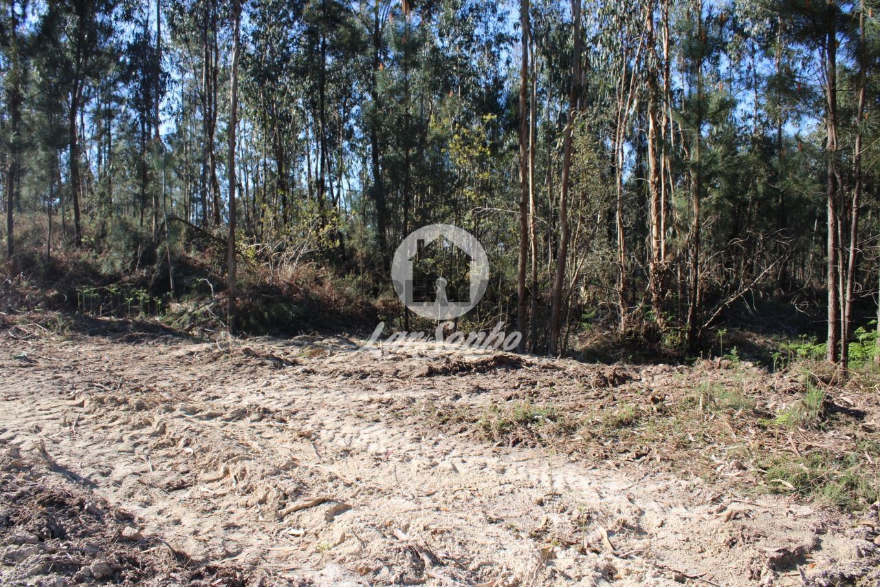 Grundstück in Alvelos, Portugal, Nr. 308505