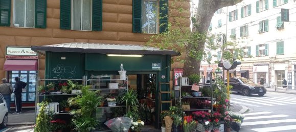 Коммерческая недвижимость 11м² в Генуя, Италия № 144961 2