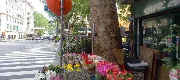 Коммерческая недвижимость 11м² в Генуя, Италия № 144961 7