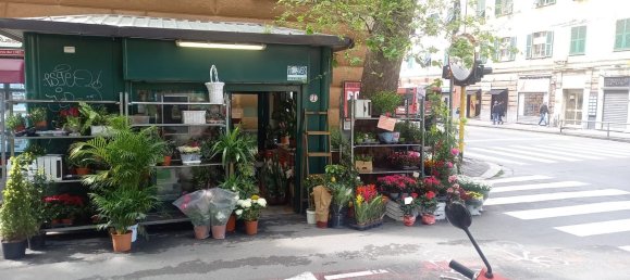 Коммерческая недвижимость 11м² в Генуя, Италия № 144961 5