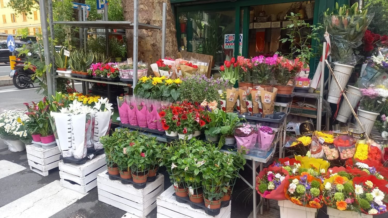 Коммерческая недвижимость 11м² в Генуя, Италия № 144961